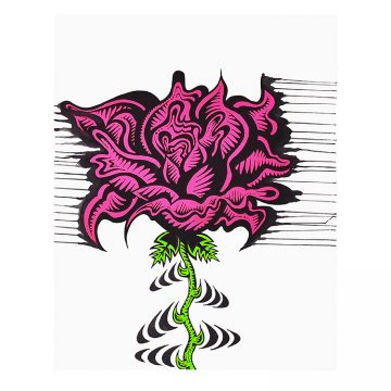 damon johnson rose stripe hand embellished print