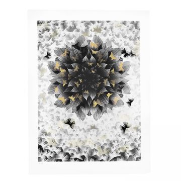 kai and sunny just an illusion 2 artist proof print