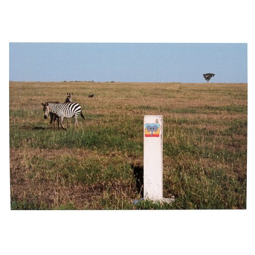 invader hello my game is postcard with elephant invader on post with zebras in field