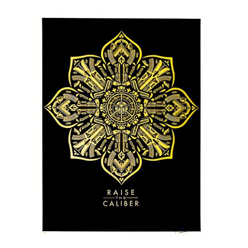 obey raise the caliber screenprint