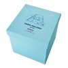 kaws mount fuji blue plush box