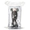 kaws small lie brown in sealed package from behind