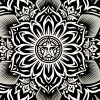 shepard fairey lotus diamond print middle of print detail with obey star