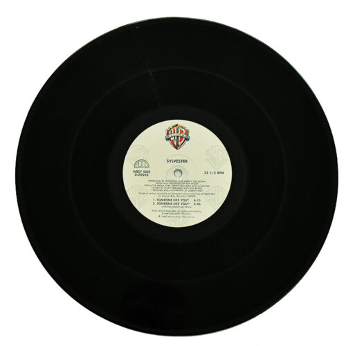 keith haring sylvester someone like you promo record