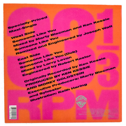 back cover of keith haring sylvester someone like you record