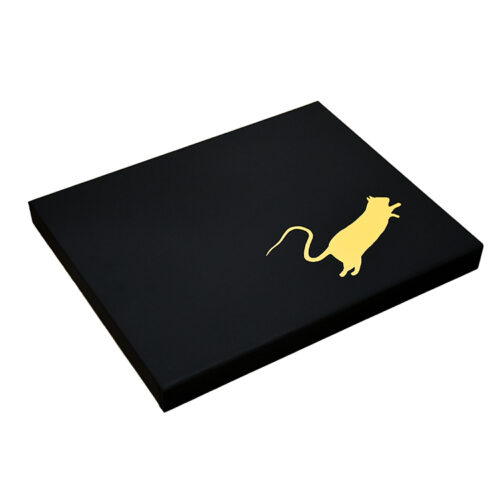 gold foil rat box from blek le rat the man who walks through walls box set