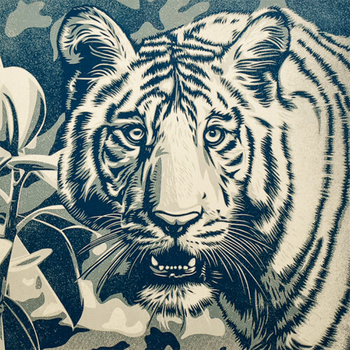 shepard fairey grace and power under pressure showing close up of tiger