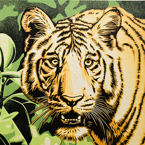 close up of tiger from shepard fairey grace and power under pressure green version