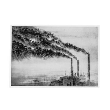 pejac a forest mini print lottery edition