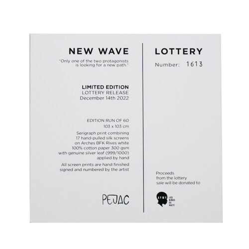 pejac new wave mini print back with details