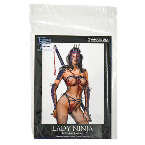 info card from hajime sorayama lady ninja statue