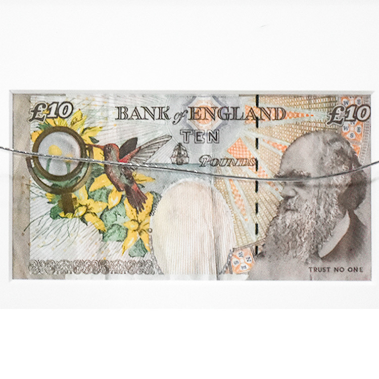 back of banksy d-faced tenner showing darwin