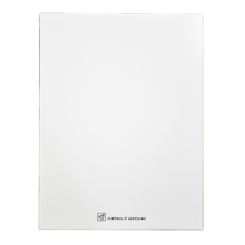 back of invader prints on paper catalog raisonne book